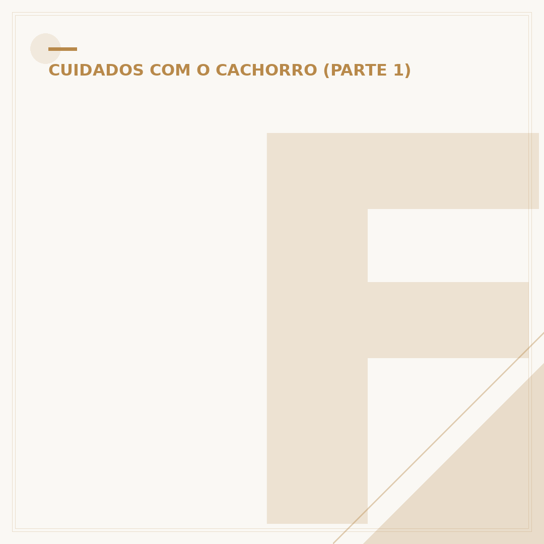 Filhote de cachorro: cuidados e desenvolvimento