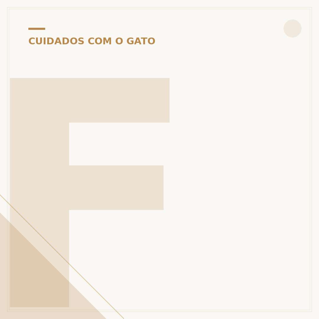 Filhote de gato prematuro: cuidados e desafios iniciais