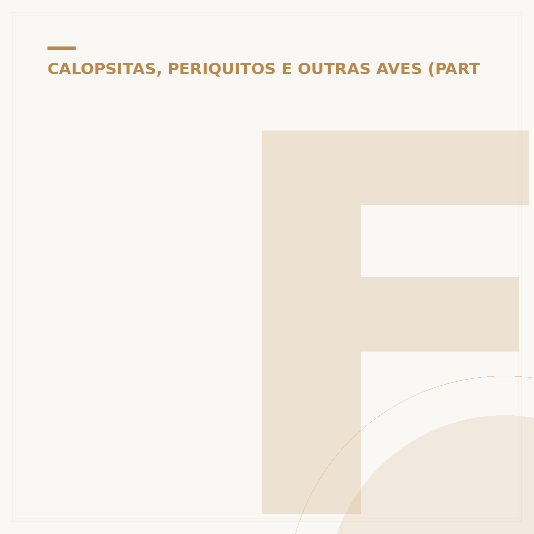 Filhote de papagaio