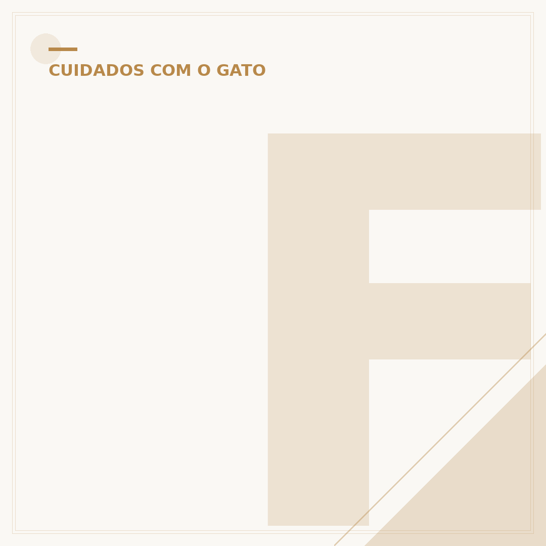 Filhote de gato com cachorro: coexistência e adaptação