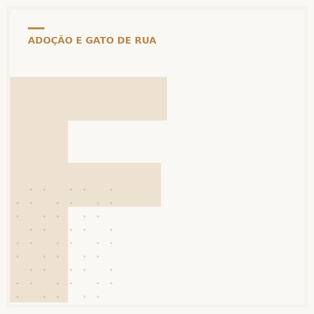 Filhote mini gatos para adoção: encontrando seu novo amigo