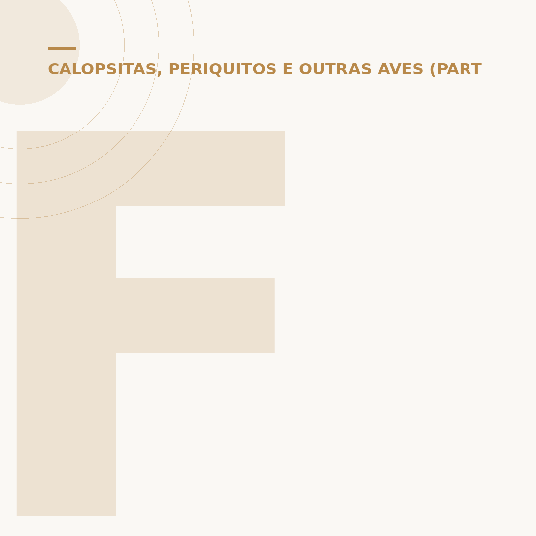 Filhote de periquito verde: o que você precisa saber