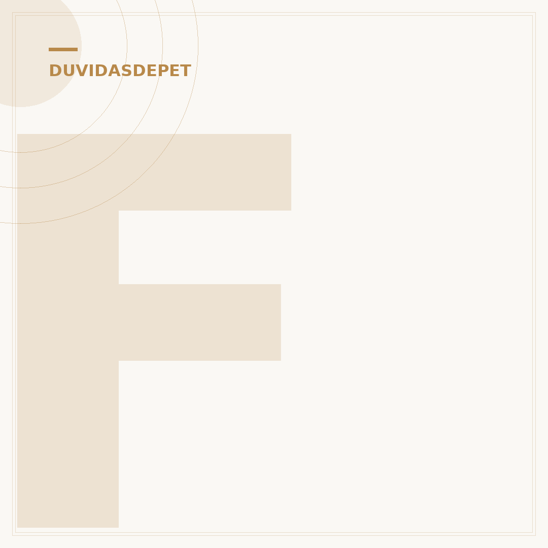 Filhote de porquinho-da-índia