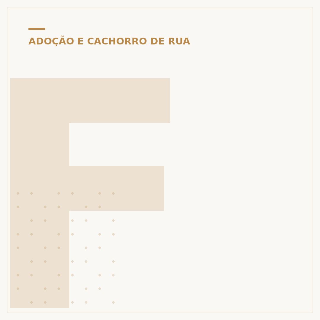 Filhotes de salsicha para adoção