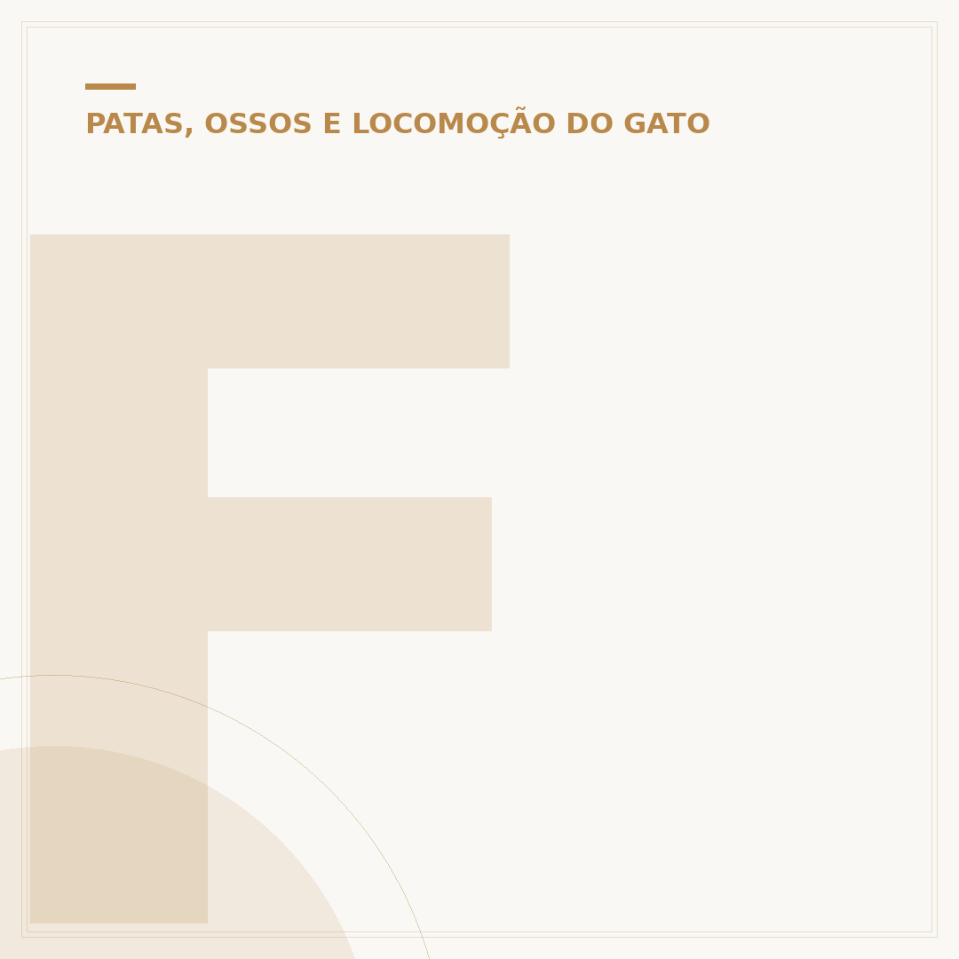 Formato da pata do gato e personalidade: mitos e crenças