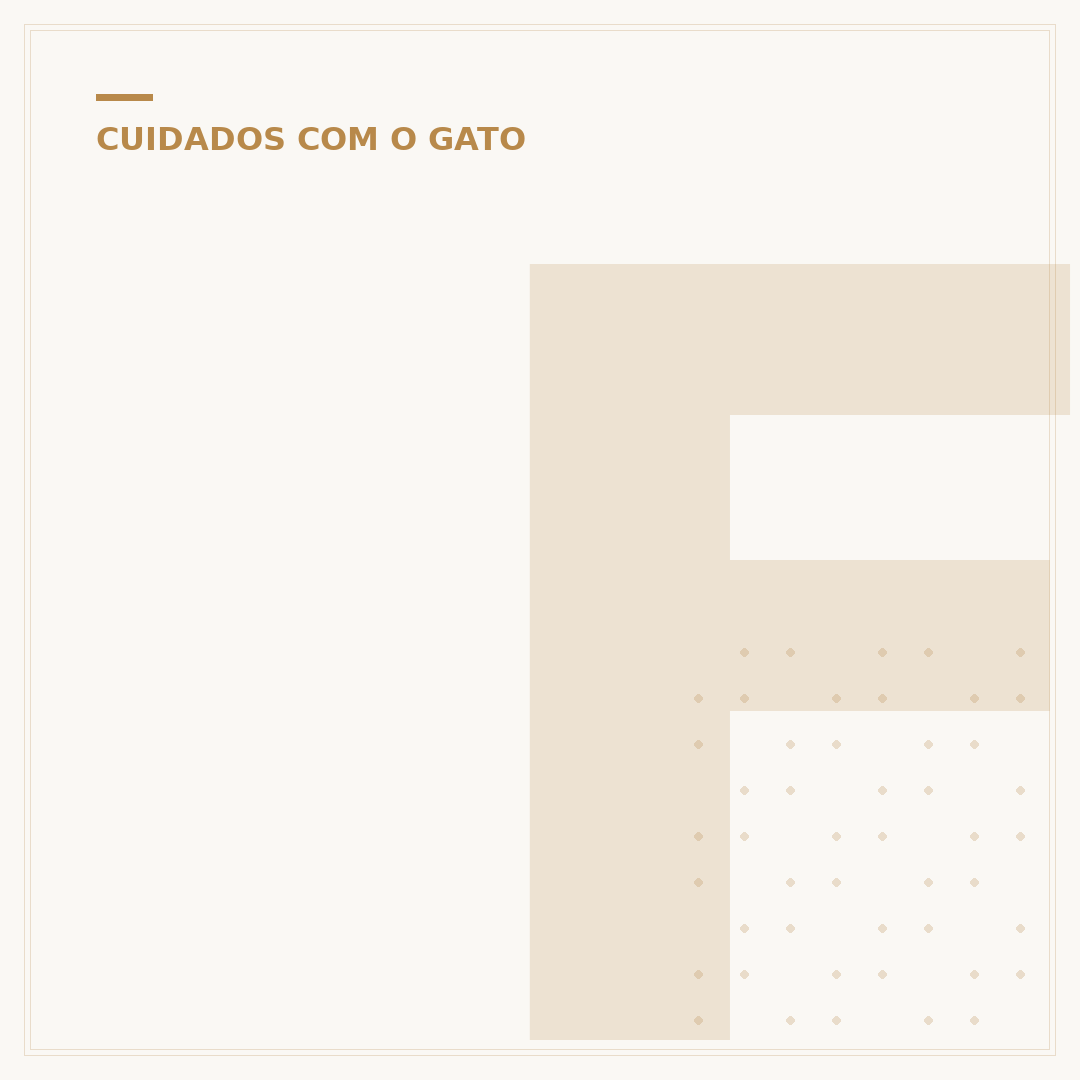 Fórmula para gato recém-nascido