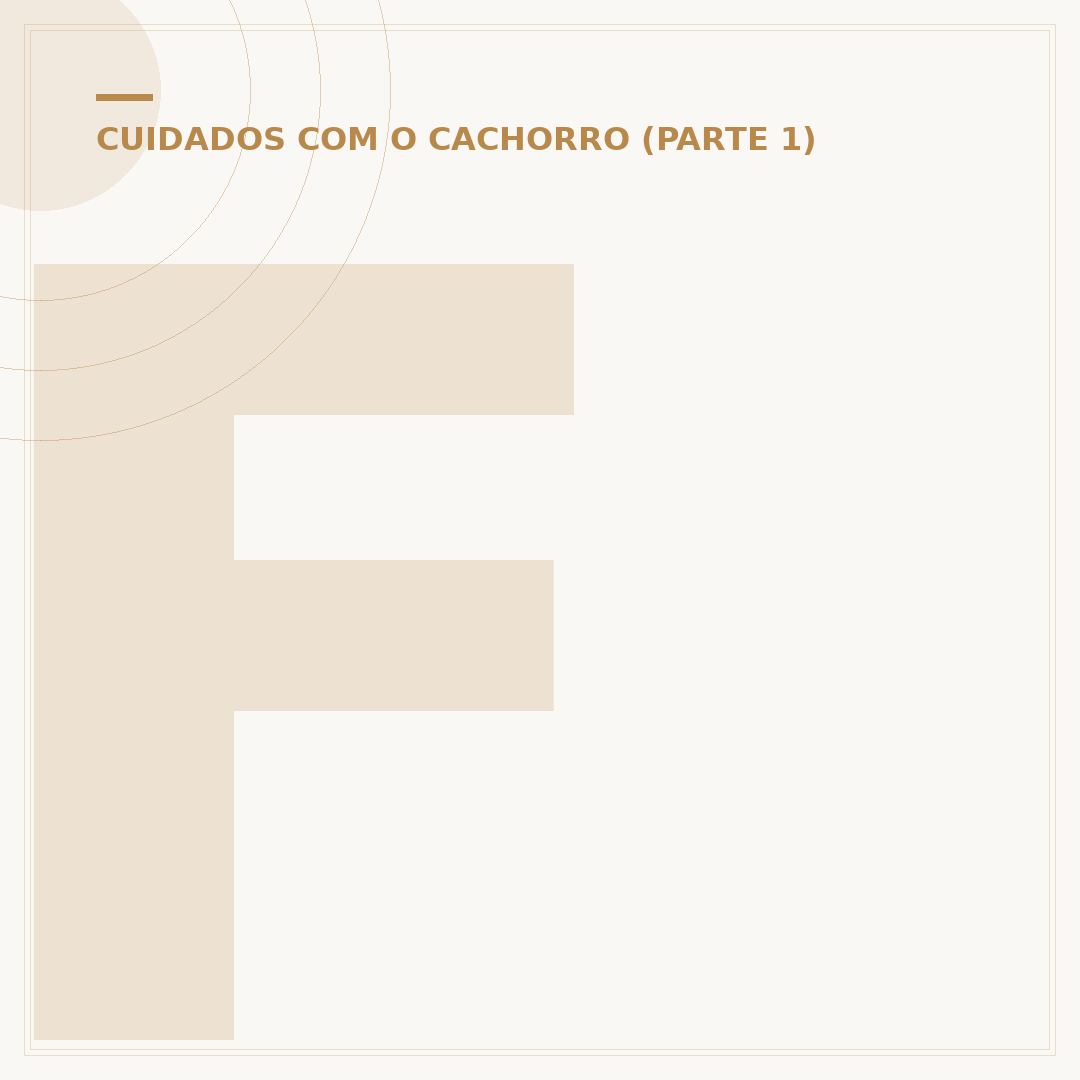 Formula para filhote de cachorro: o que ele precisa