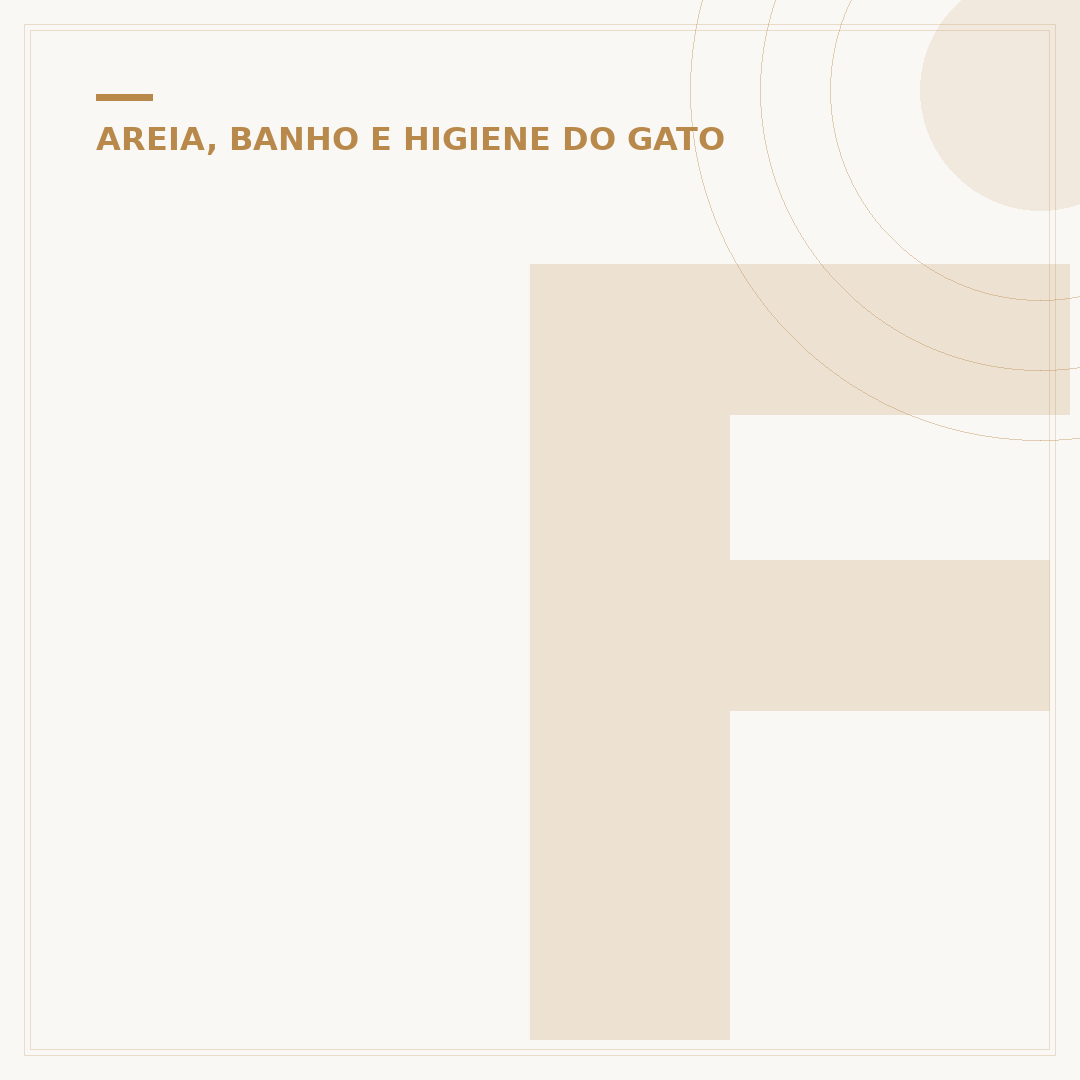 Fralda para gato fêmea