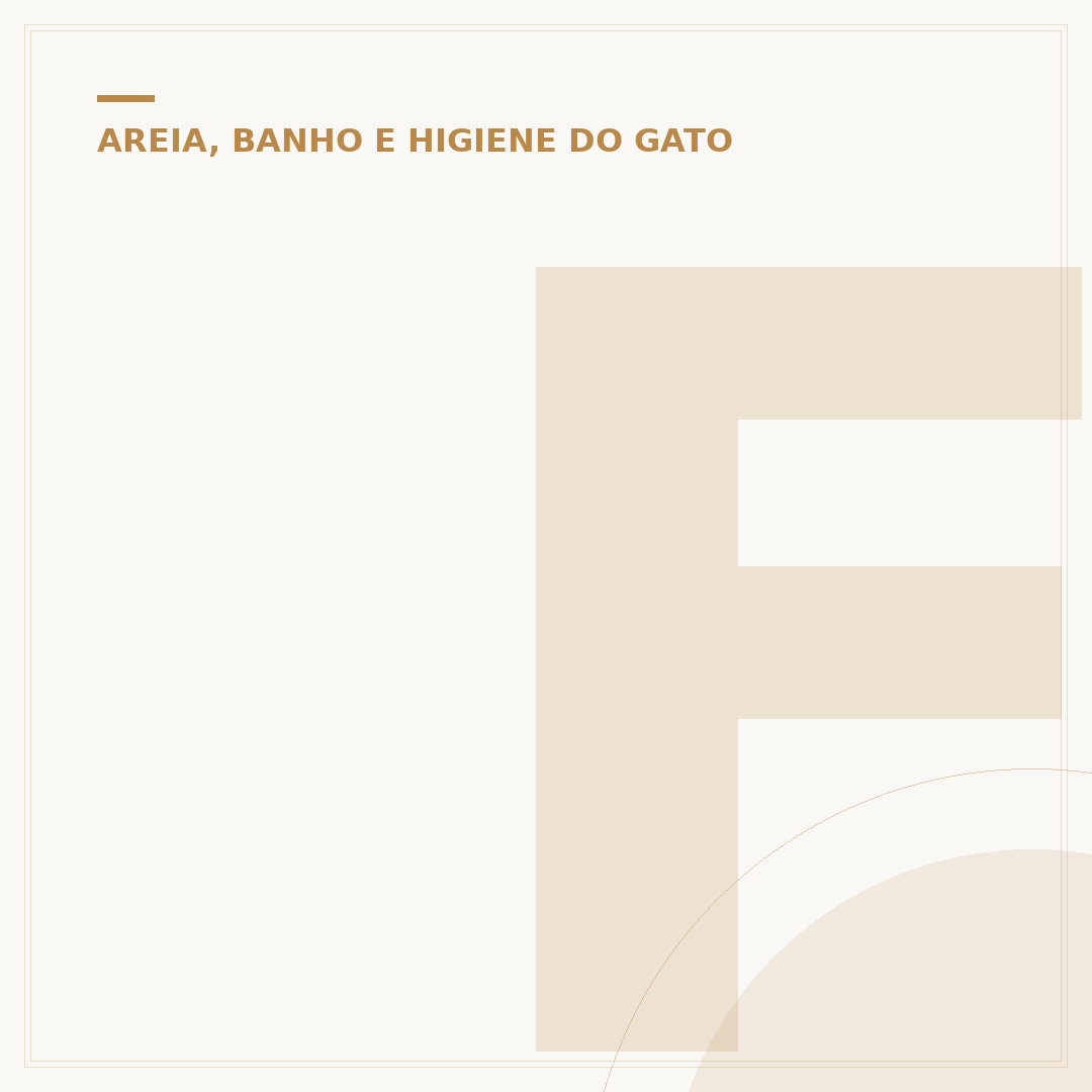 Fralda para gato macho