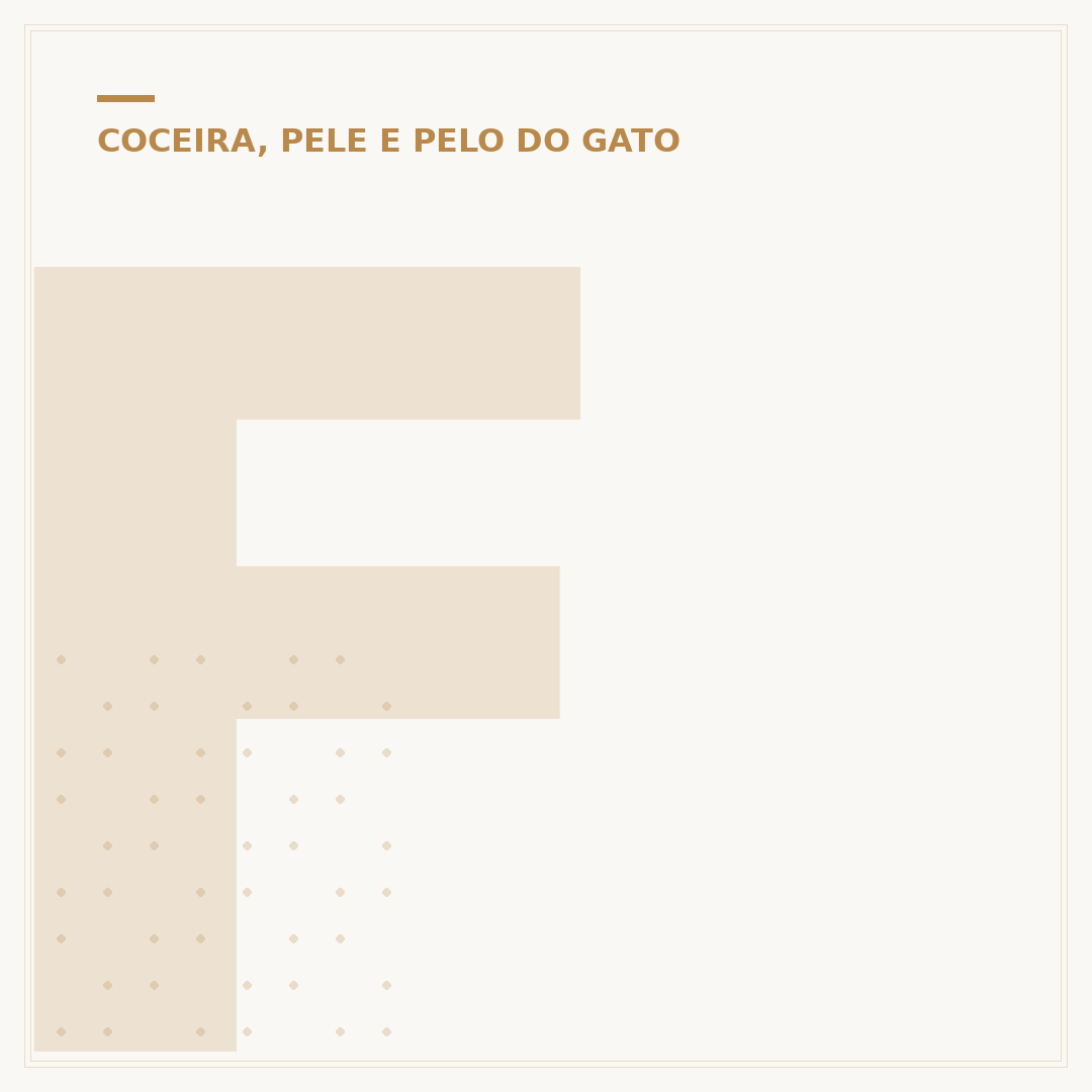 Fungo na pata do gato: causas, sintomas e tratamento