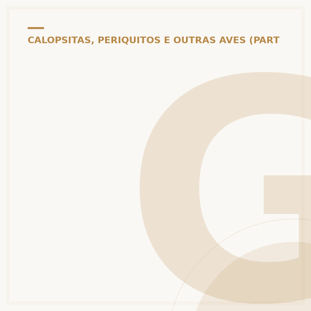 Gaiola criadeira calopsita: o que saber para reprodução