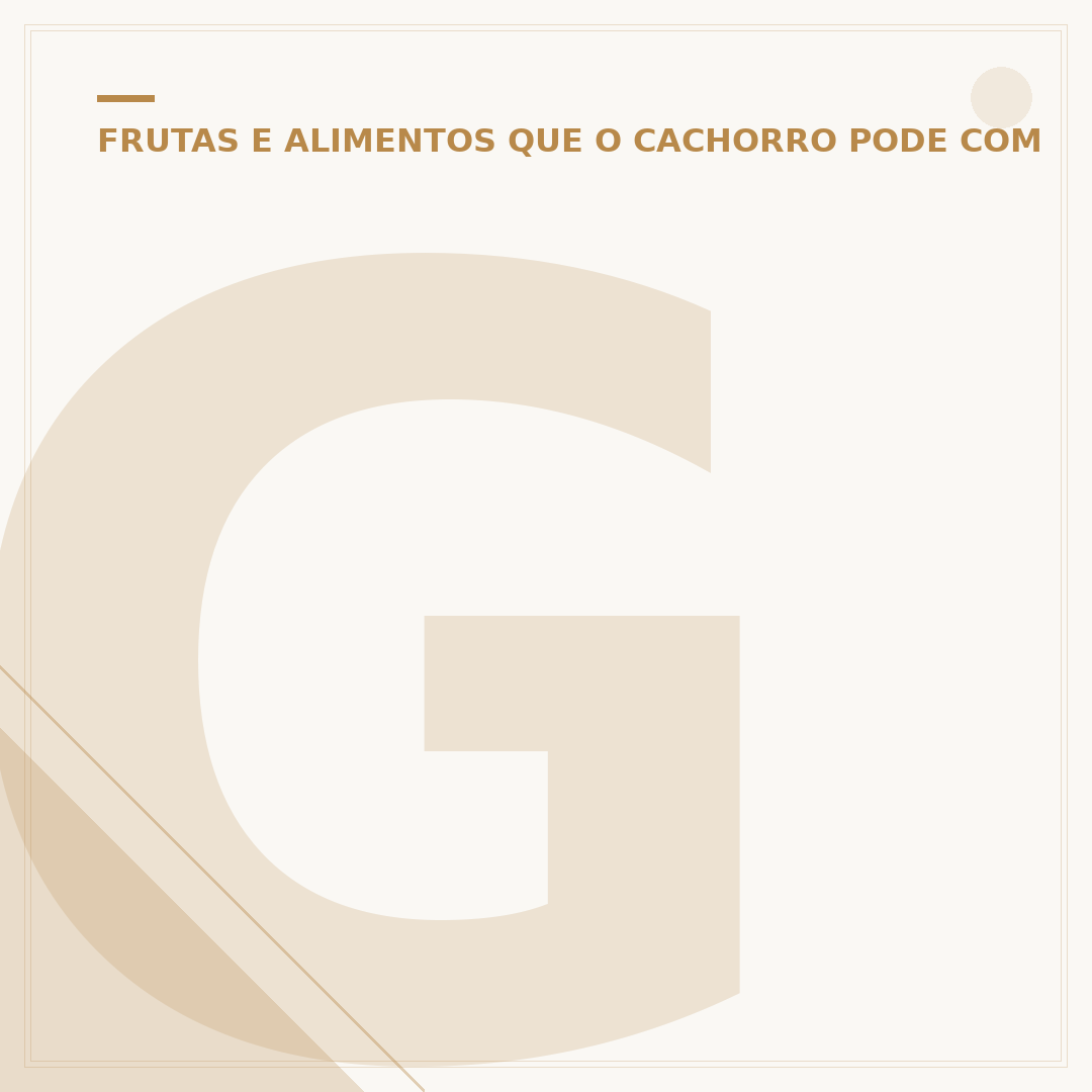 Galao de água para cachorro: hidratação sem preocupações