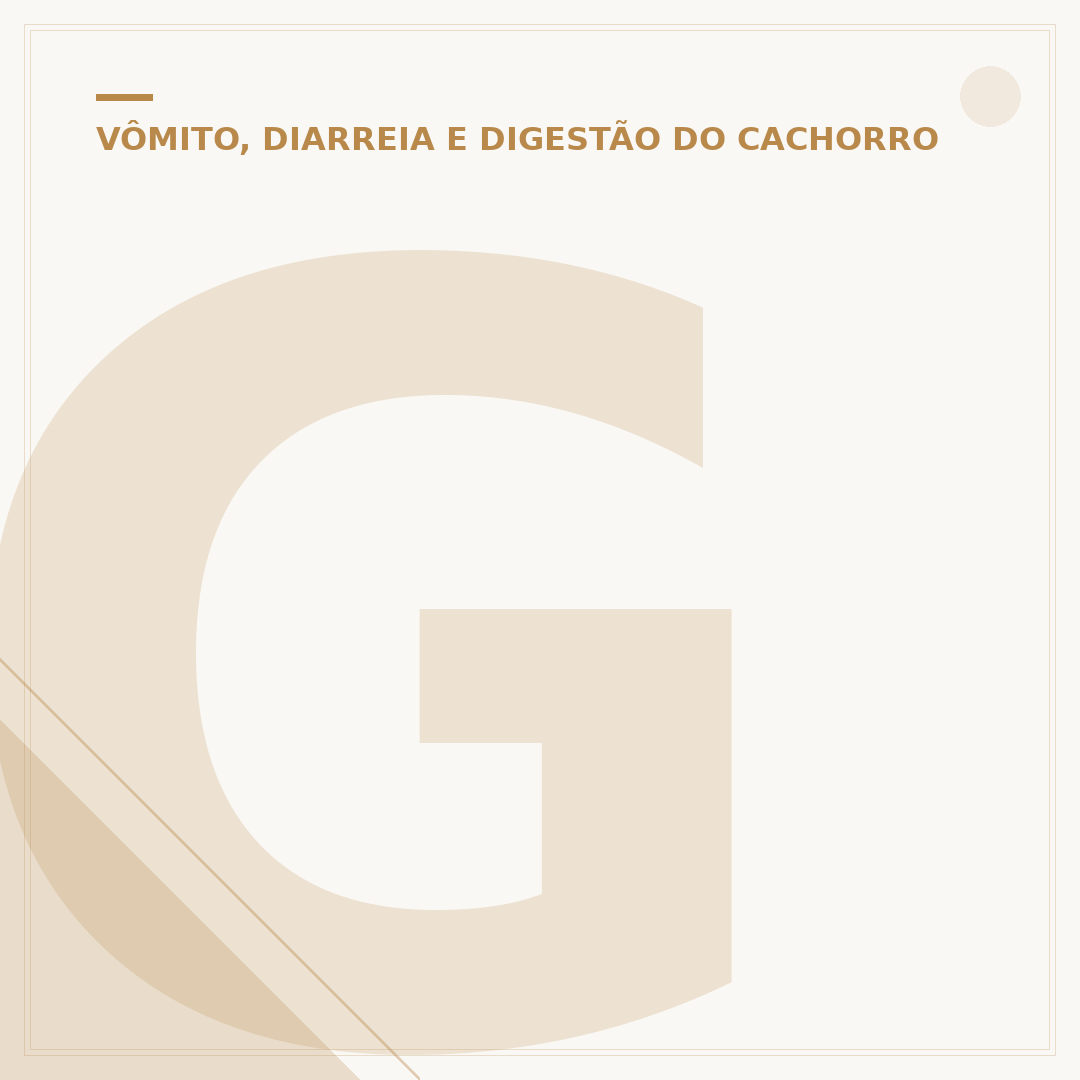 Gastrite em cachorro pode matar? Entenda os riscos