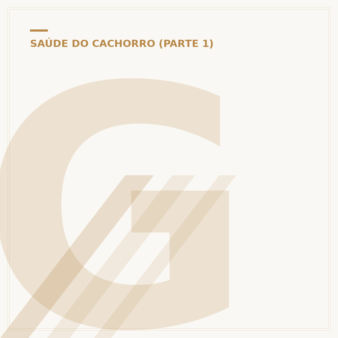 Gastroenterite em cachorro: causas, sintomas e cuidados