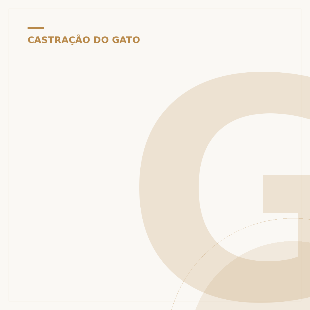 Gata amamentando pode ser castrada?