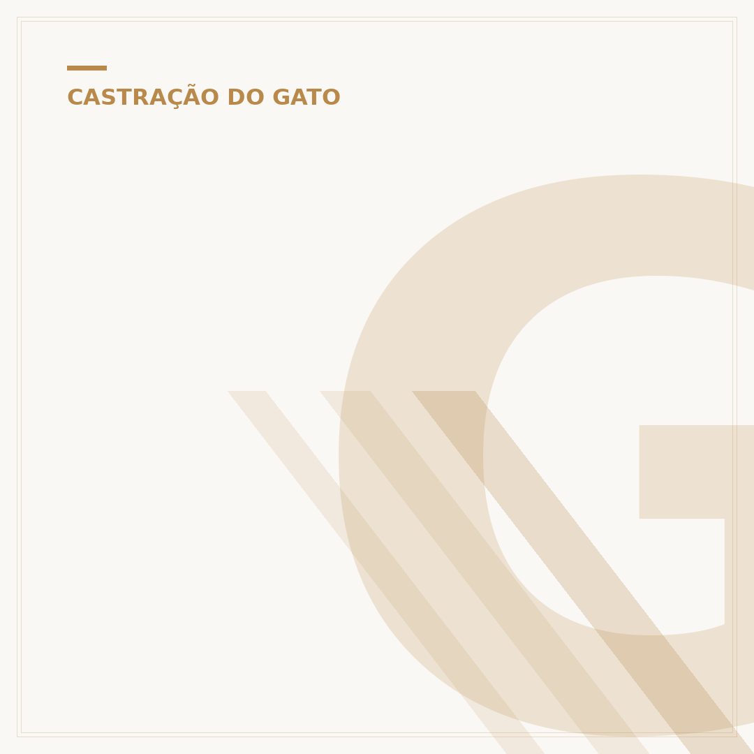 Gato fêmea castrada entra no cio
