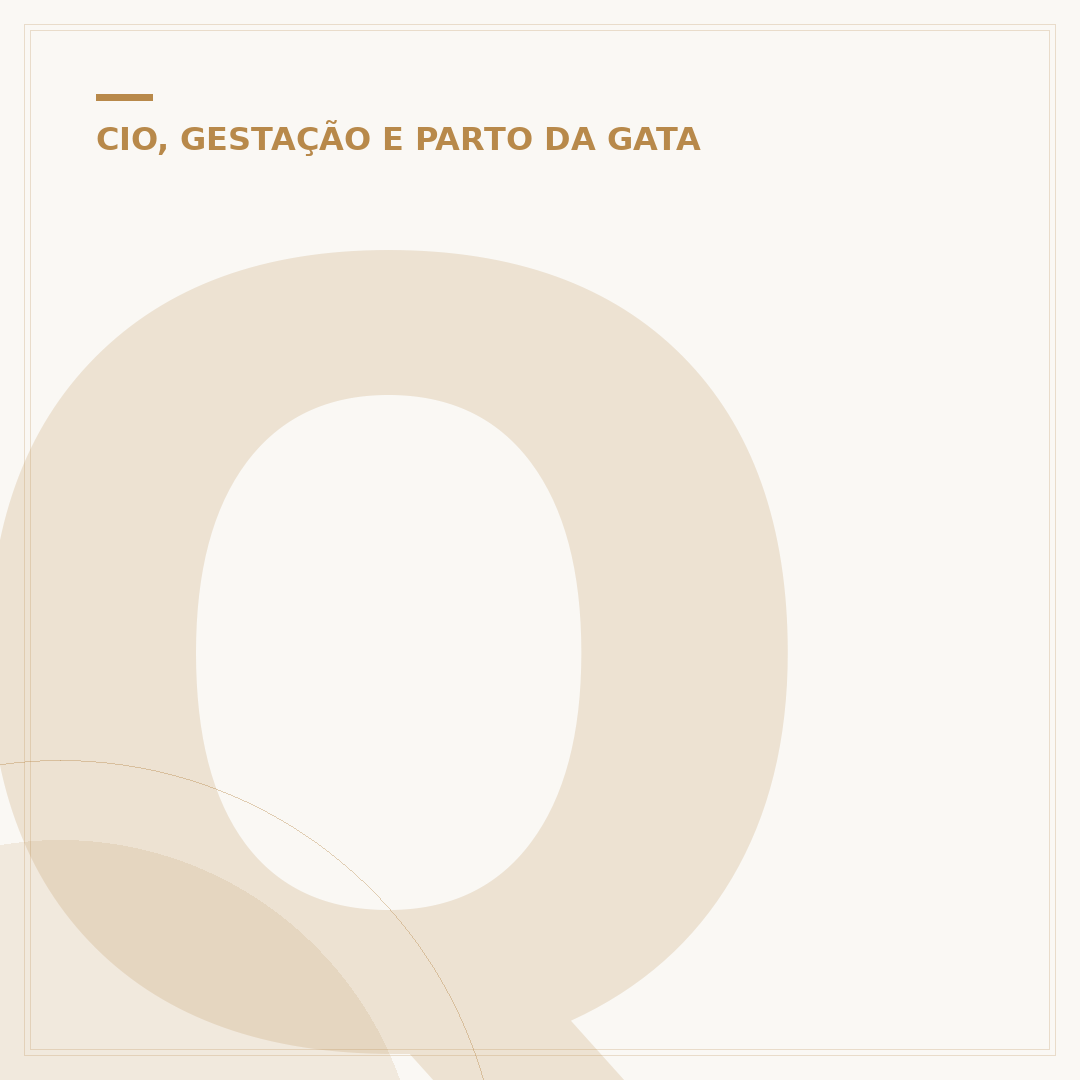 Quanto tempo a gata fica no cio depois de parir?