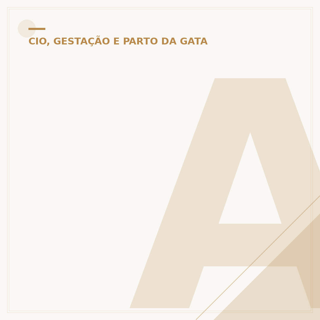 A partir de quantos meses a gata entra no cio?
