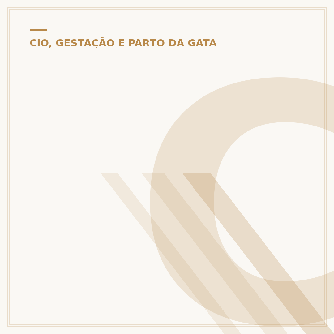 Como descobrir se a gata está grávida: sinais e confirmação