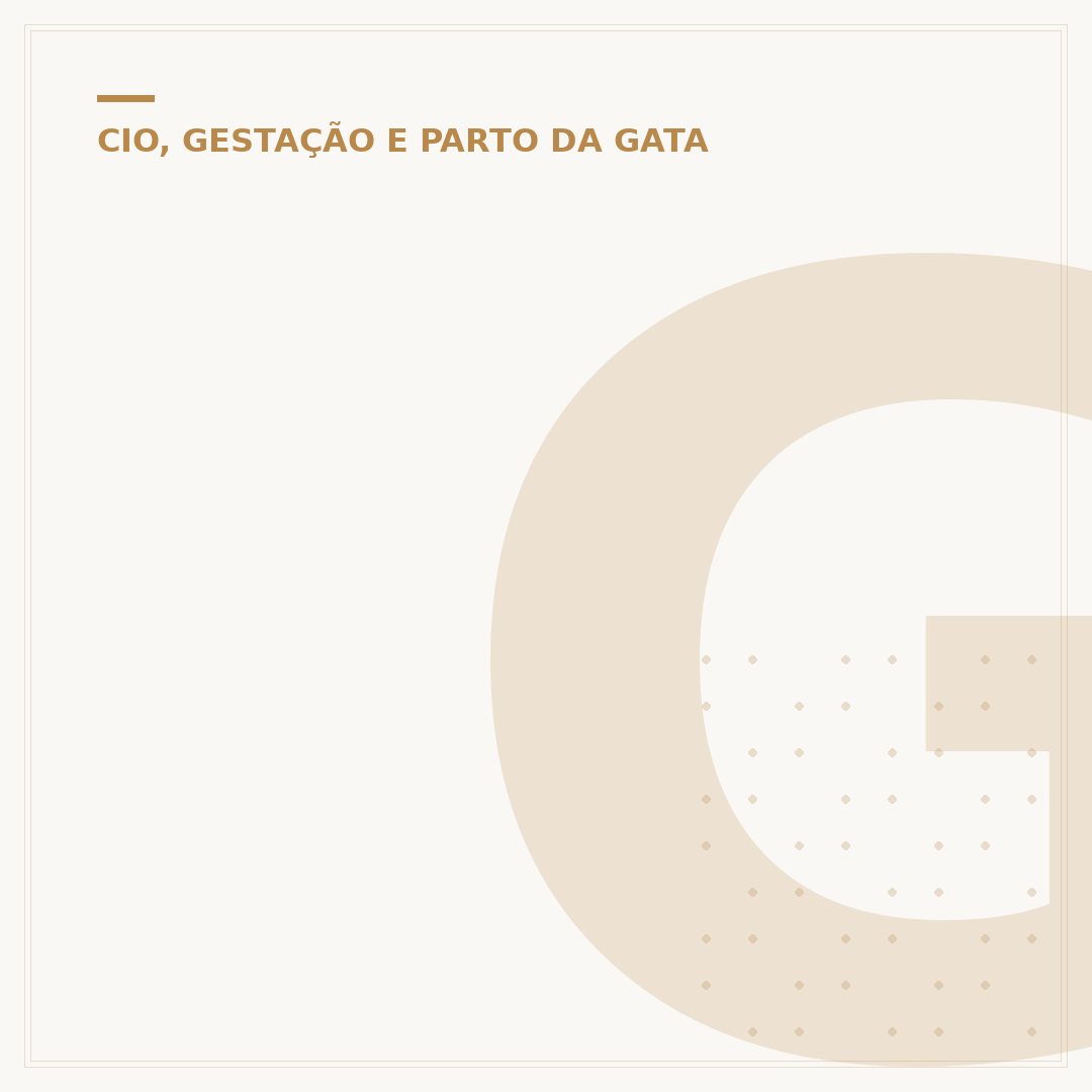 Gata prenha de 1 mês: o que esperar e como cuidar