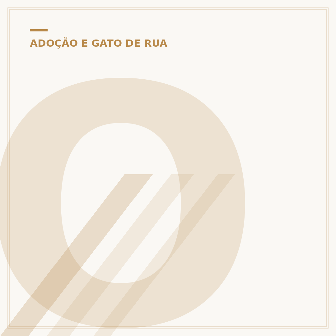 Onde posso levar um gato abandonado?
