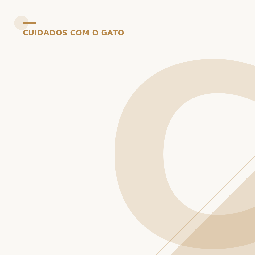 Como fazer gato se acostumar com outro gato filhote