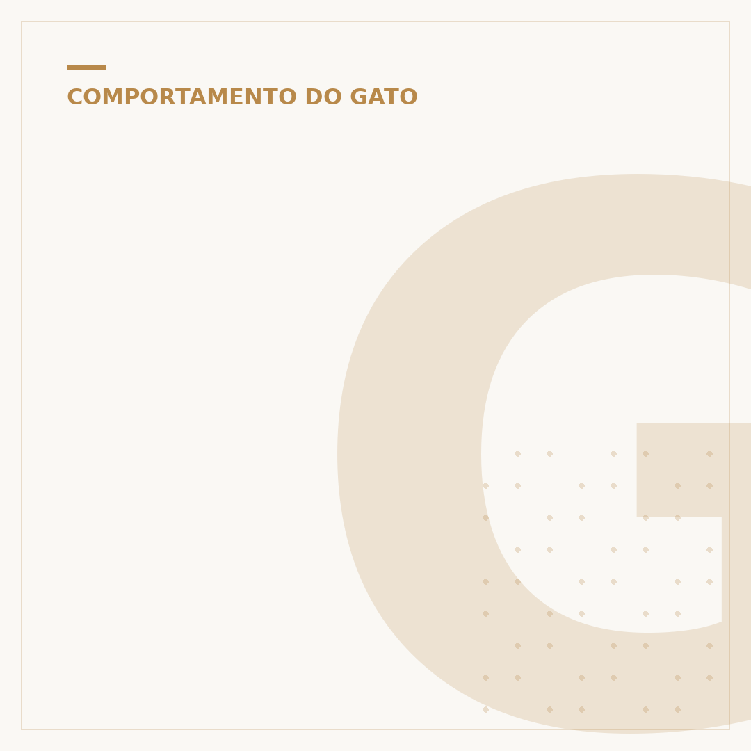 Gato amassando pãozinho: o que significa esse comportamento?