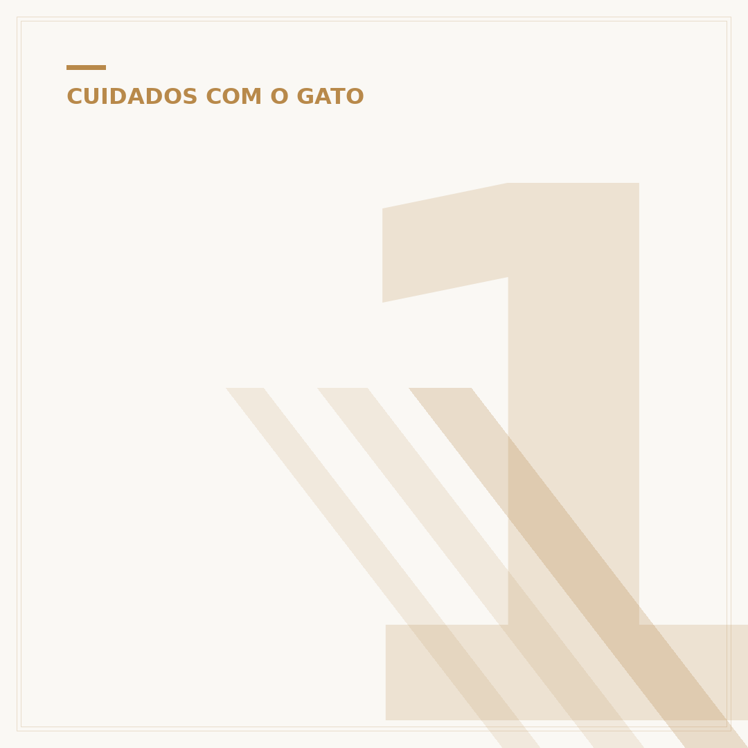 1 ano do gato equivale a quantos anos humanos?