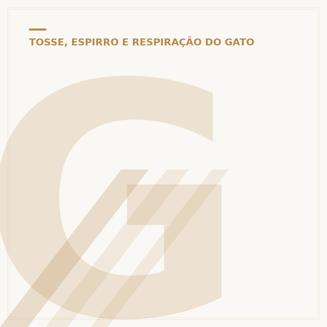 Gato faz mal para quem tem asma? Entenda os riscos
