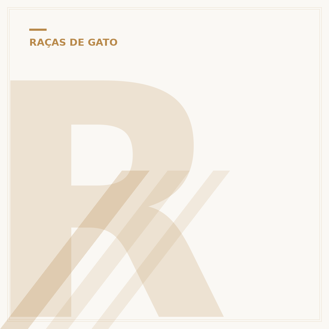 Raças de gato branco: conheça as mais populares
