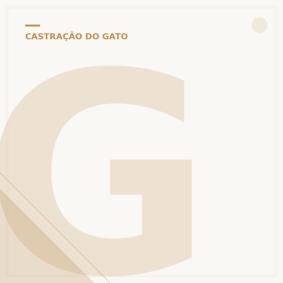 Gato castrado marca território: por que e como evitar