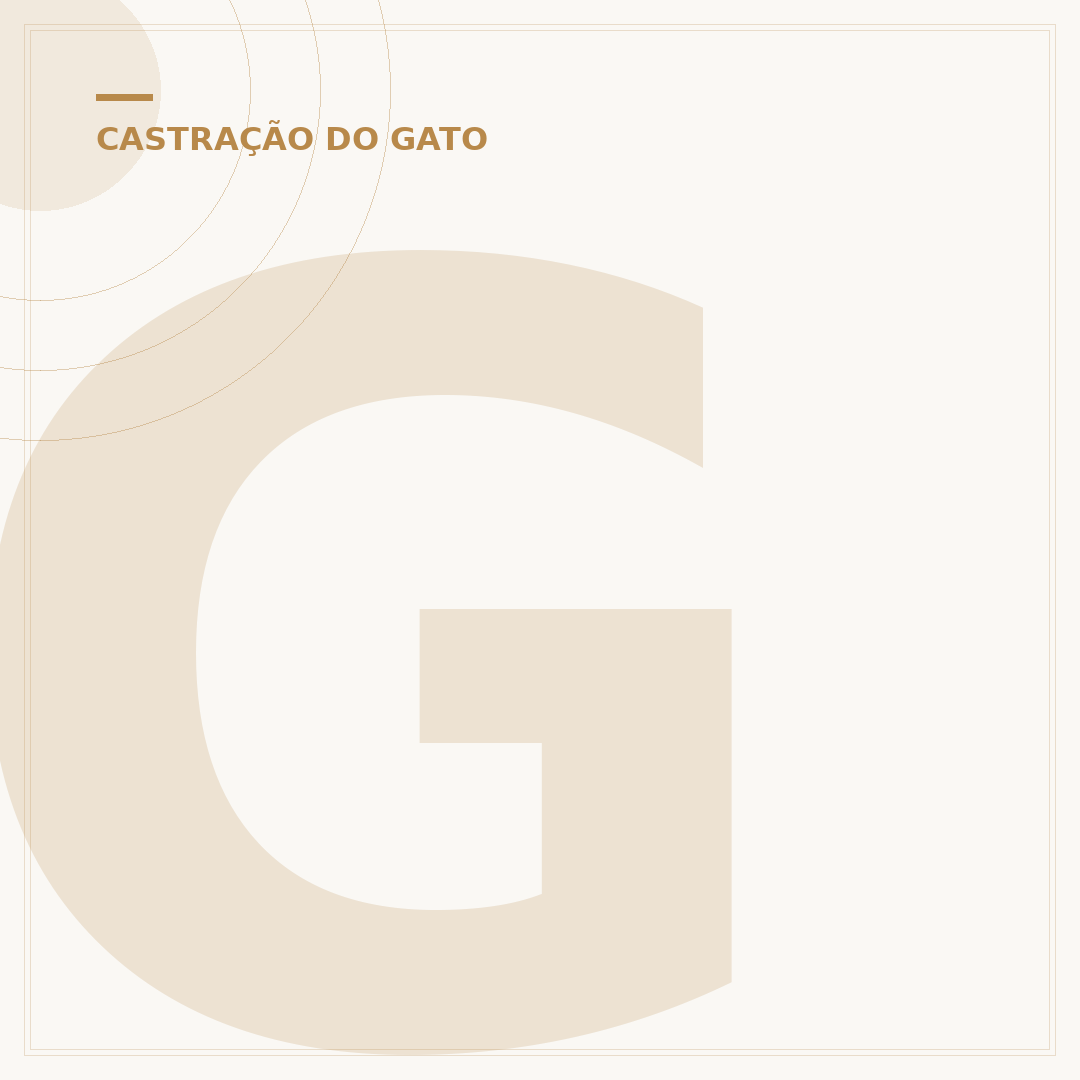 Gato castrado namora? Entenda o comportamento felino
