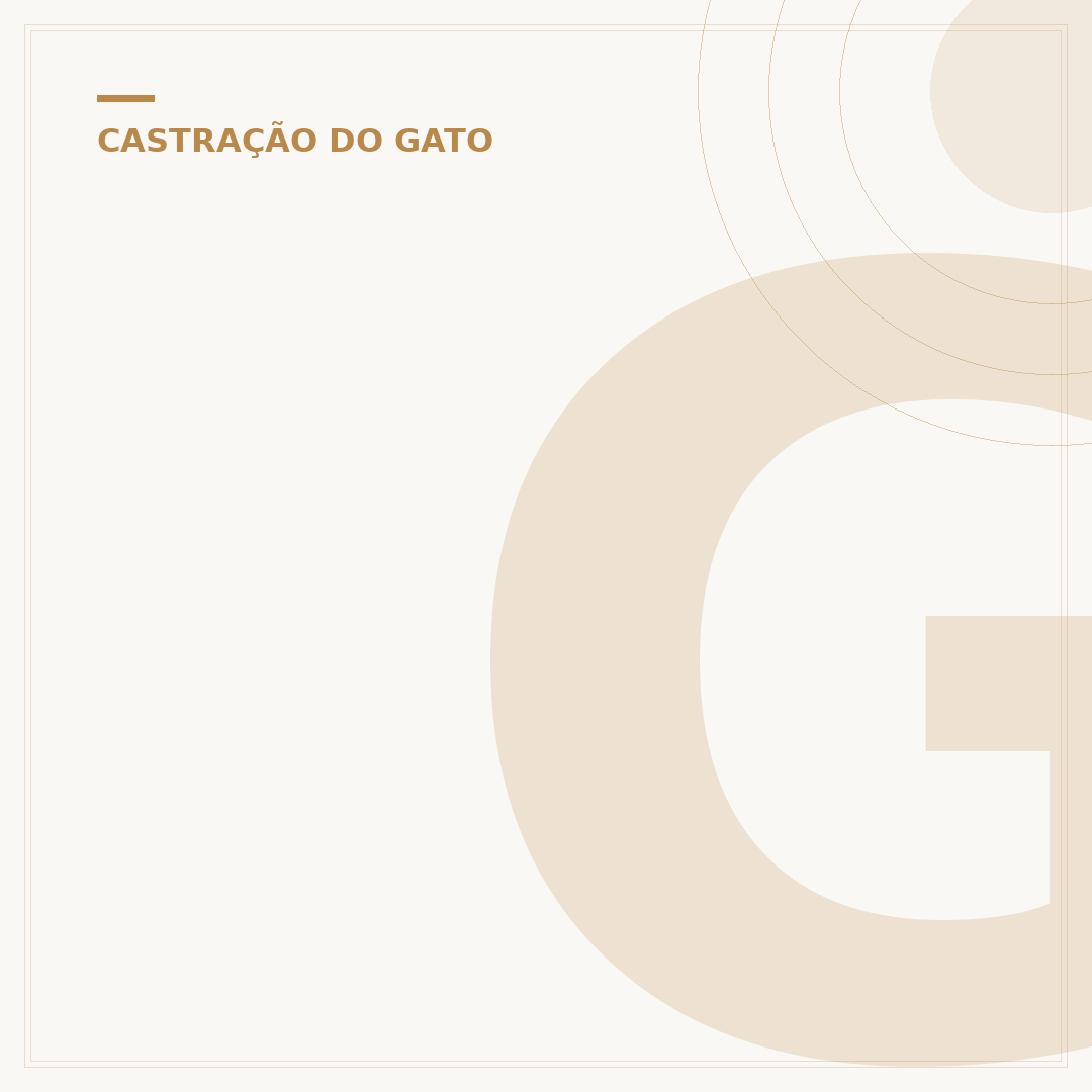 Gato castrado sai de casa? Entenda o comportamento