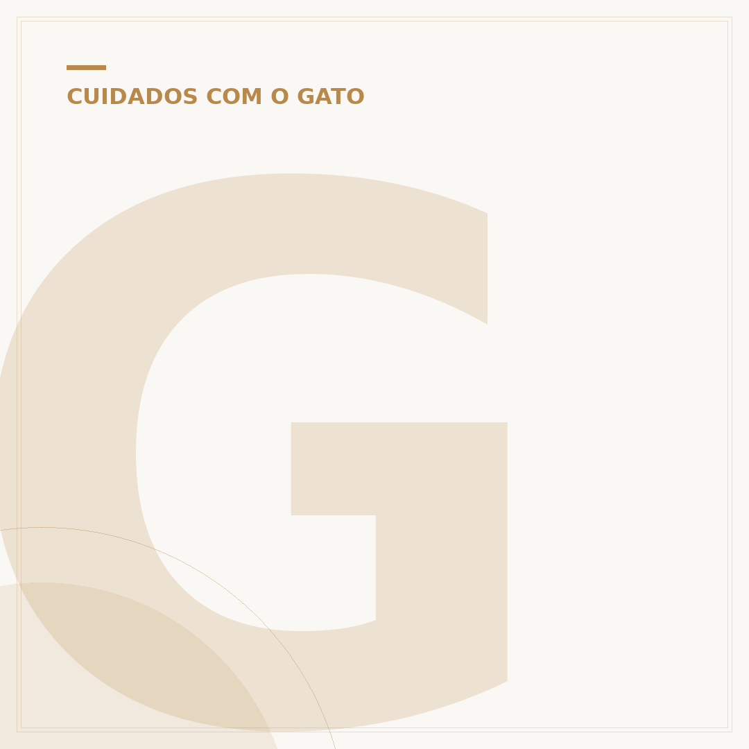 Gato cinza e branco filhote: cuidados e desenvolvimento