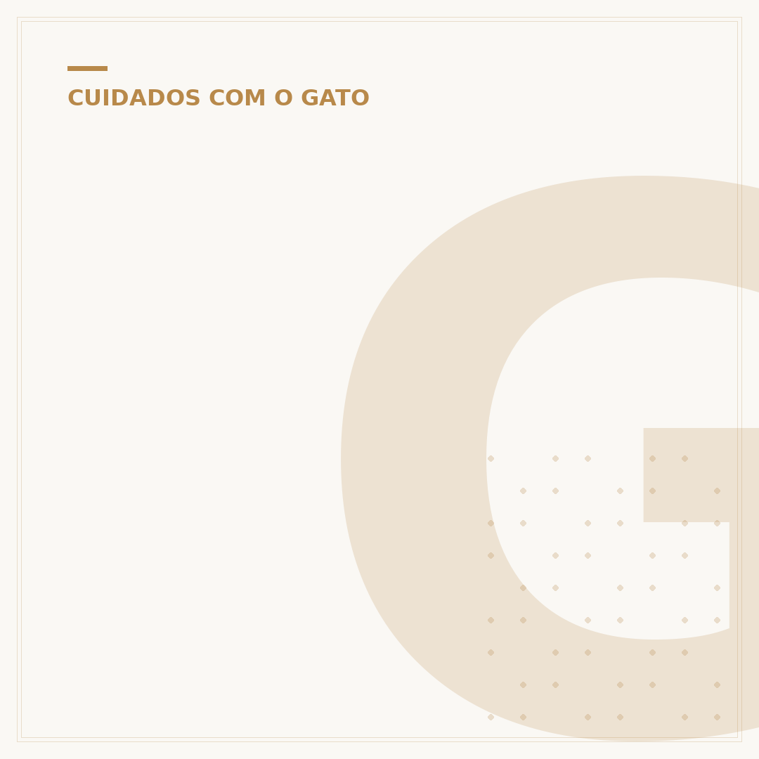 Gato cinza filhote: entenda suas características e cuidados