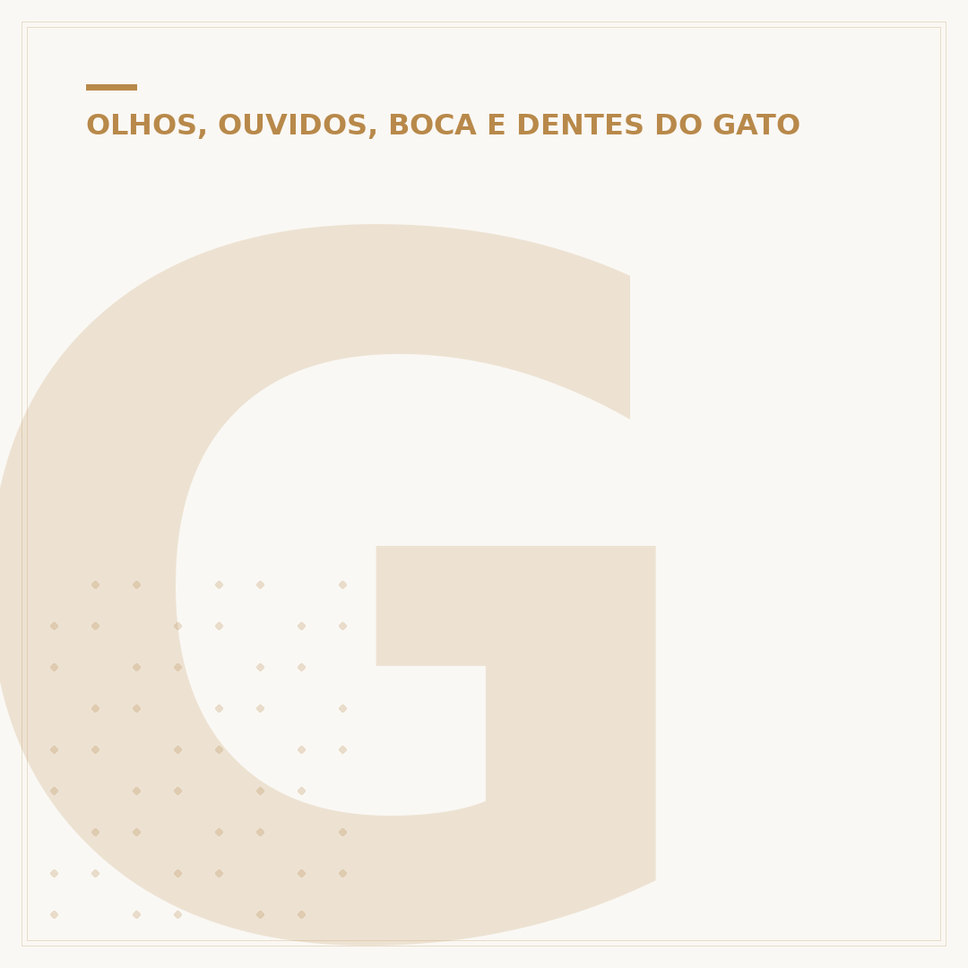 Gato cinza com olhos verdes