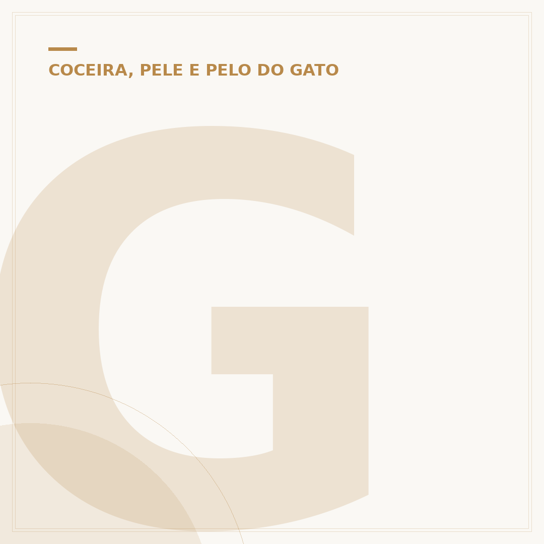 Gato coçando a orelha