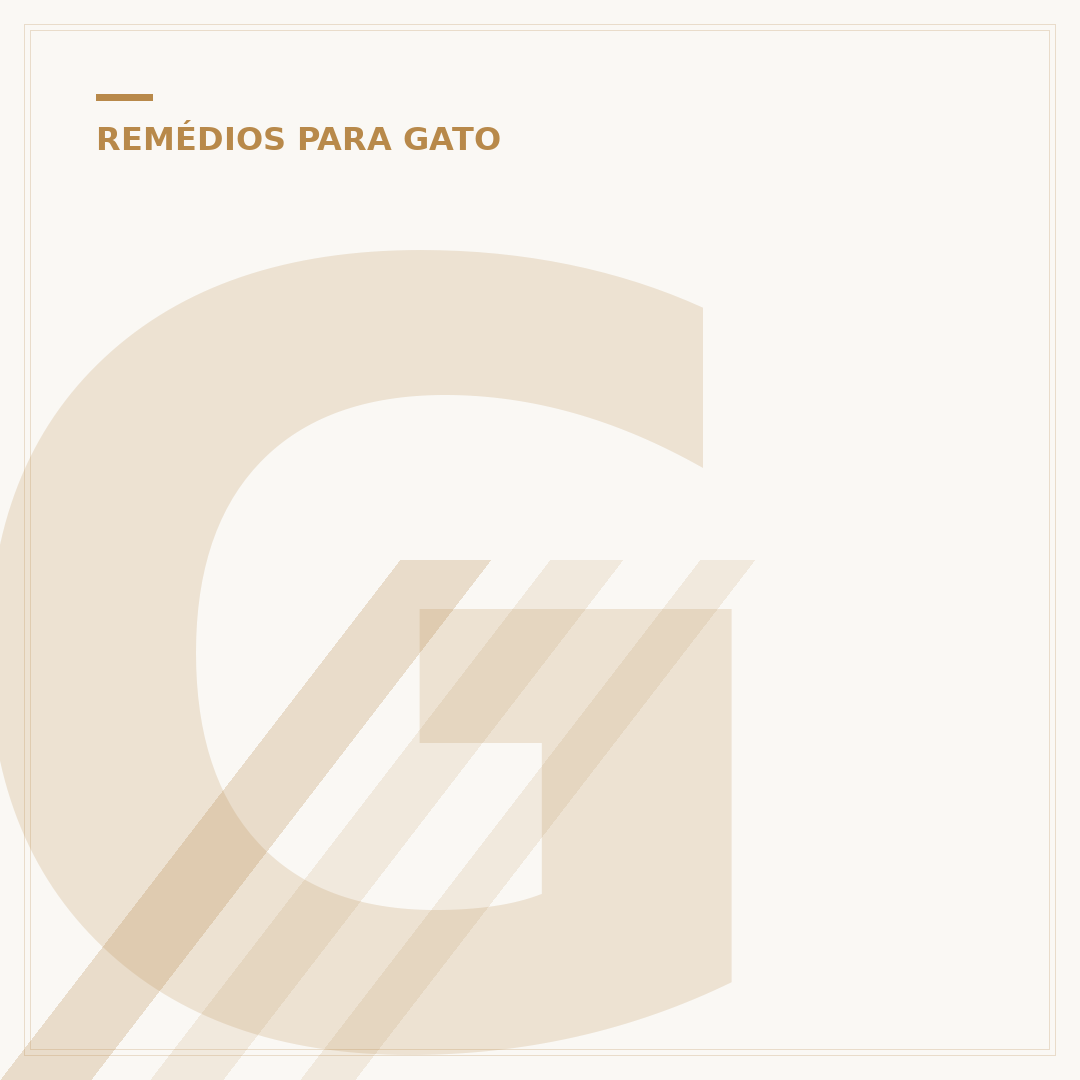 Gato com diarreia: o que dar e o que fazer?