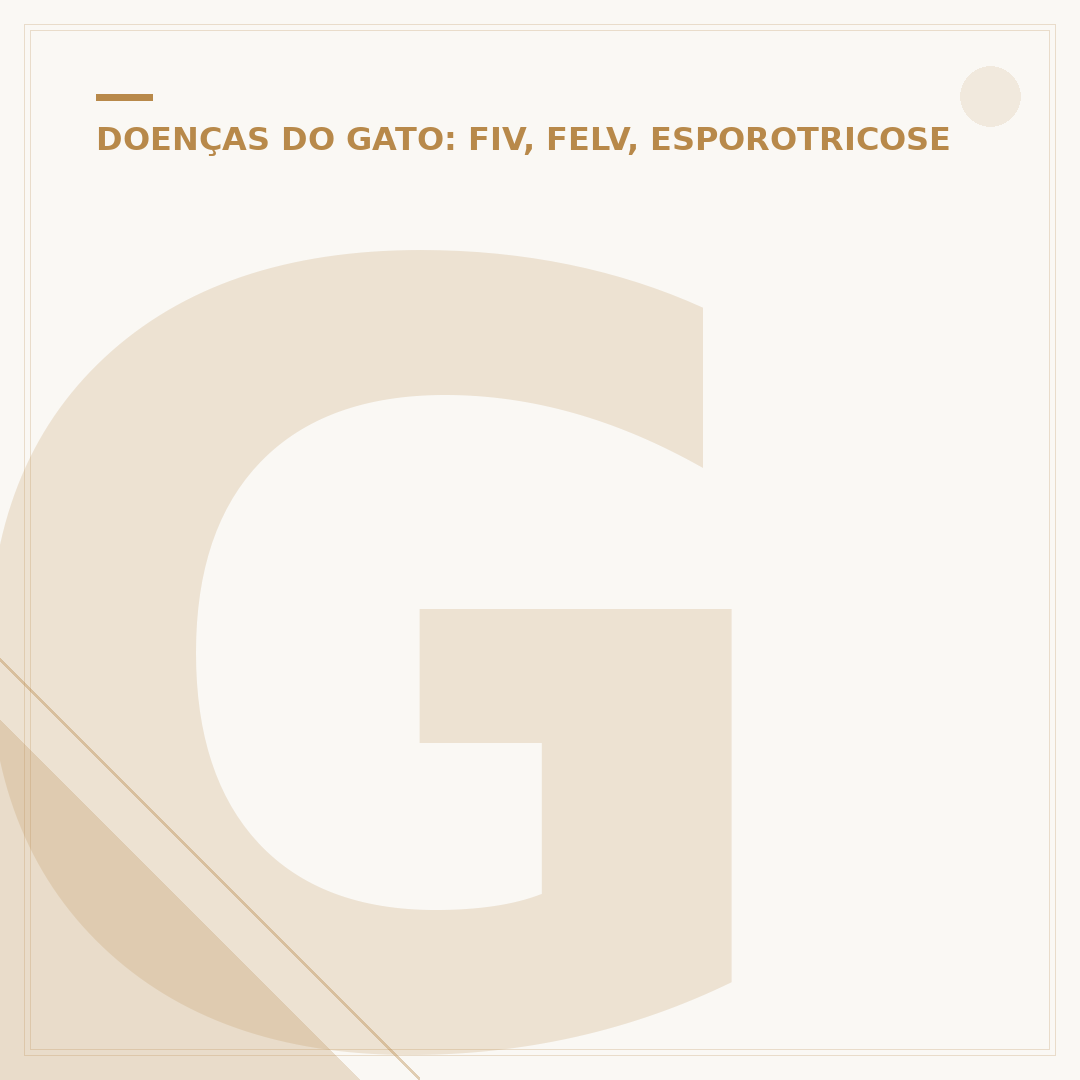 Gato com FIV pode conviver com outros gatos?