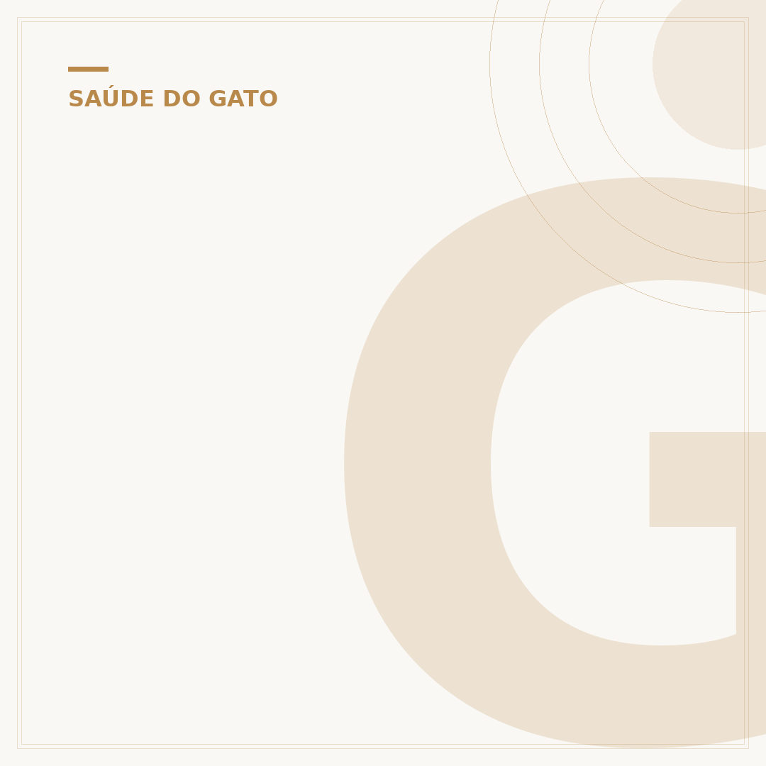 Gato com nanismo: causas genéticas, sinais e cuidados