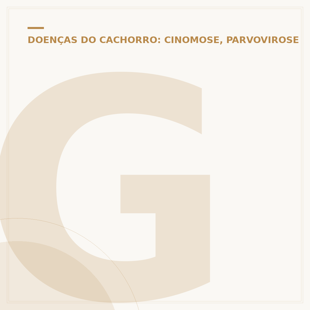 Gato com raiva: doença, sintomas e prevenção