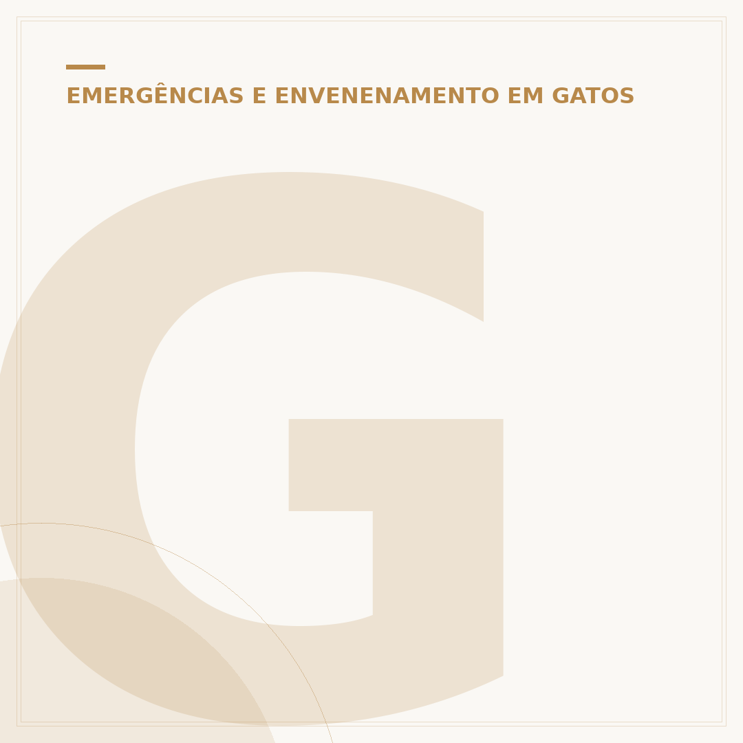 Gato come escorpião: riscos e o que fazer