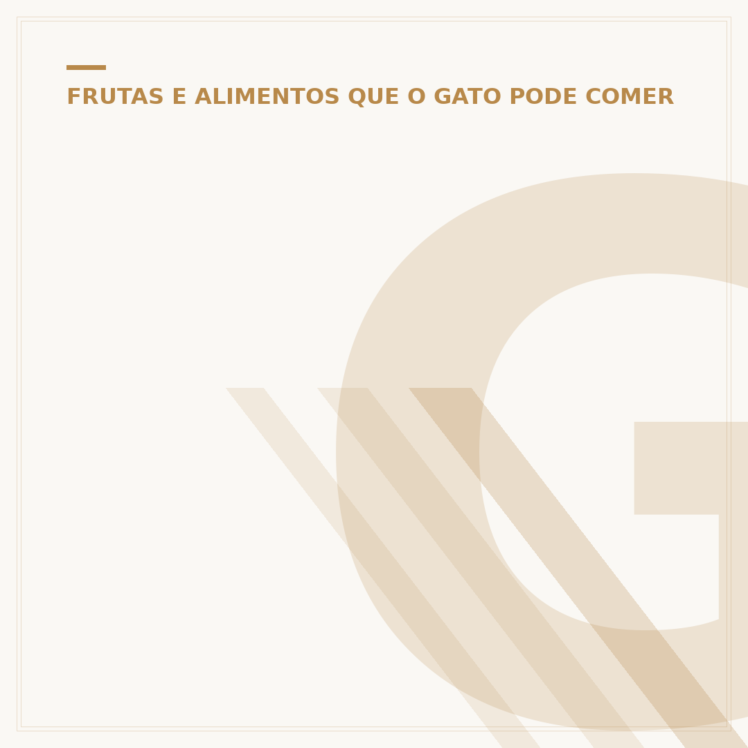 Gato pode comer ovo? O que donos precisam saber