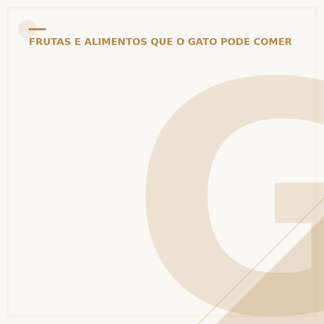 Gato pode comer pão francês? Entenda os riscos