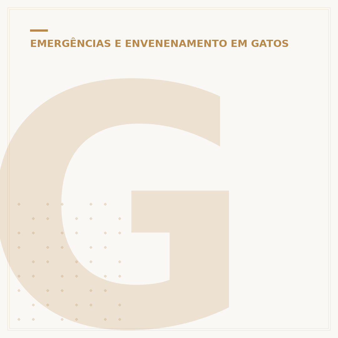 Gato com convulsão pode morrer? O que fazer e sinais