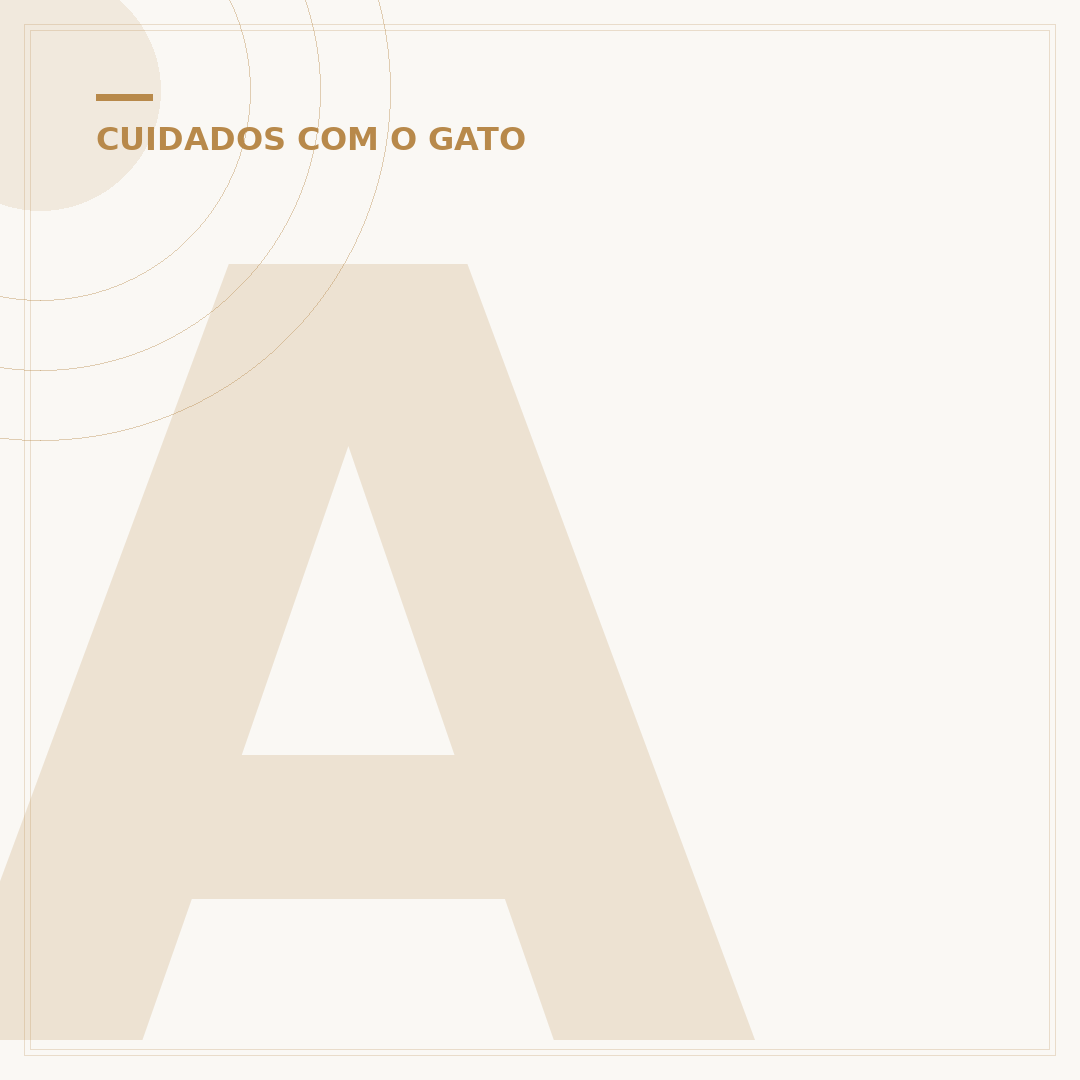 Até quantos anos o gato cresce: entenda o desenvolvimento