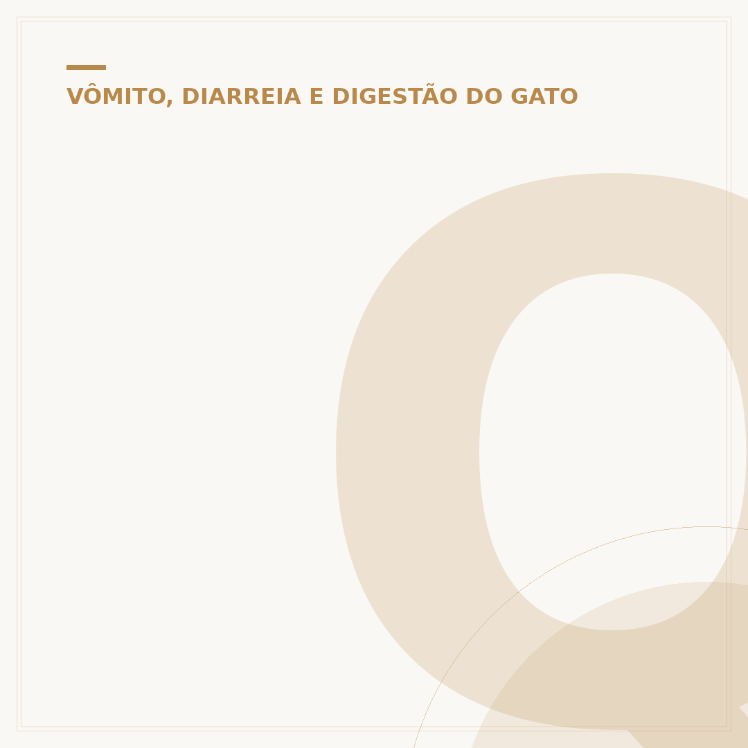 Quando o gato deita em cima da barriga do dono