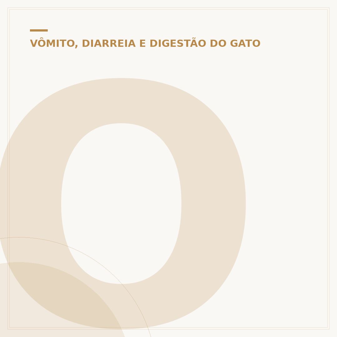 O que significa quando o gato deita na sua barriga?