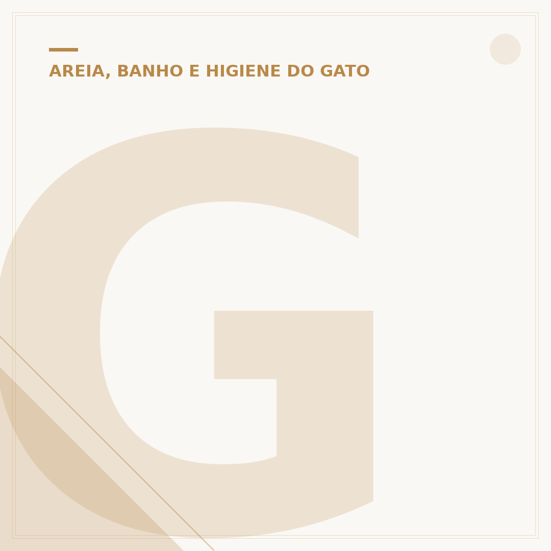 Gato deitando na caixa de areia: entenda o comportamento