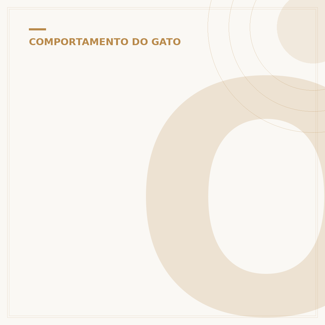 O que significa um gato dormindo muito?